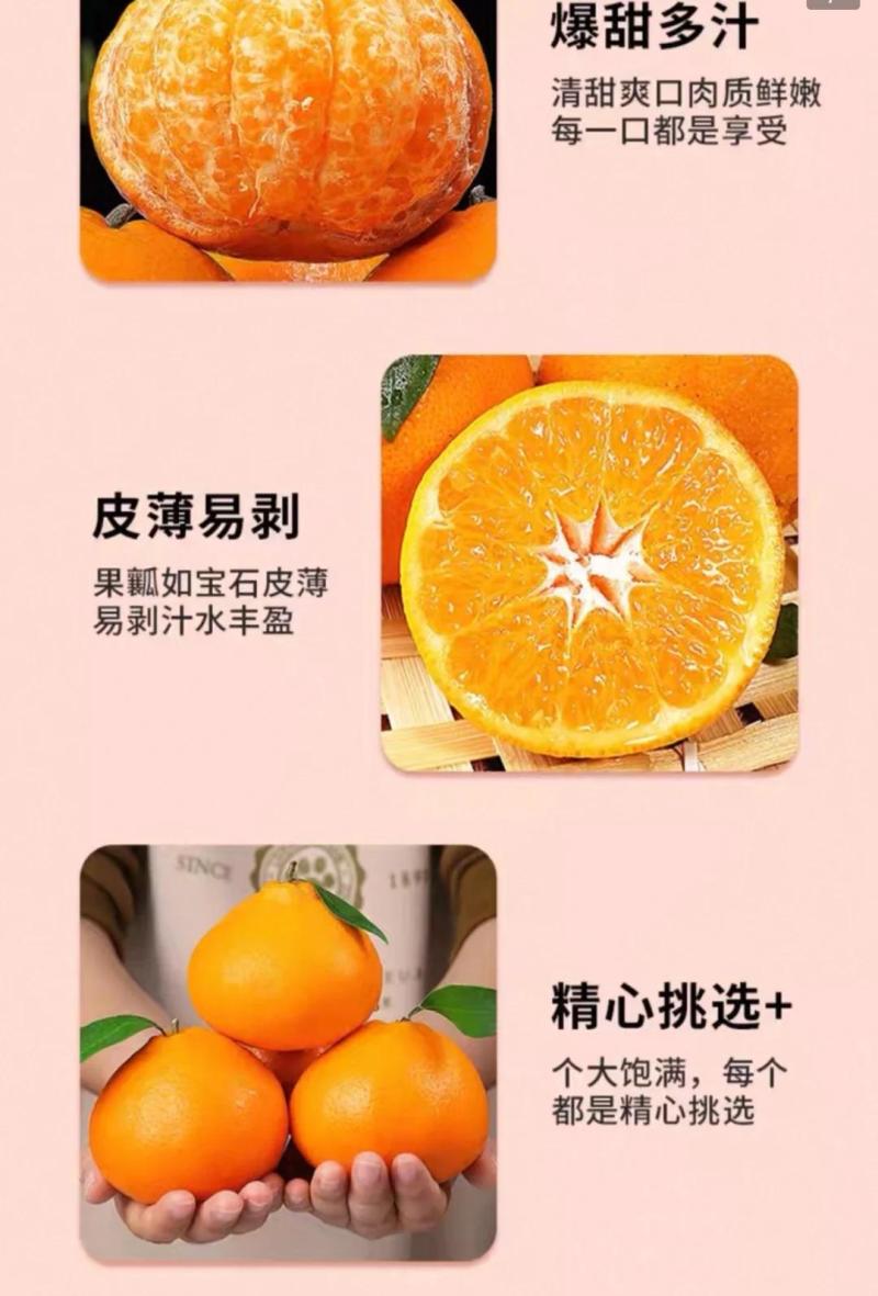 四川蒲江县耙耙柑