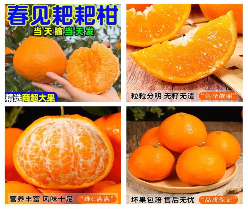 四川蒲江县耙耙柑