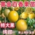 纯甜黄金9号黄金百香果苗嫁接苗爬藤四季开花高产量当年结果