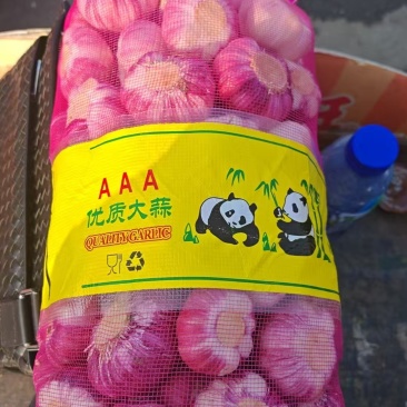 中牟大蒜