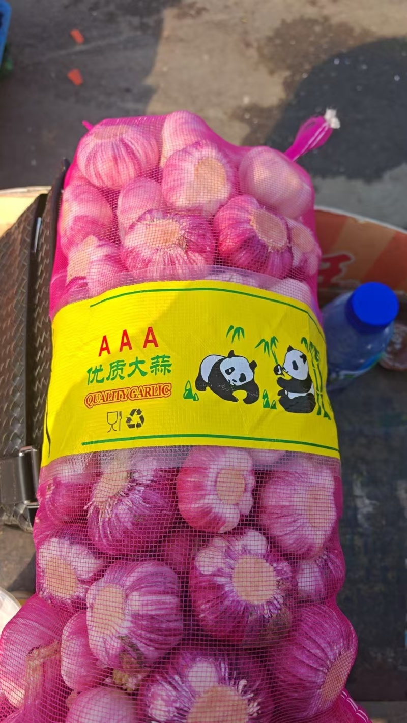 中牟大蒜