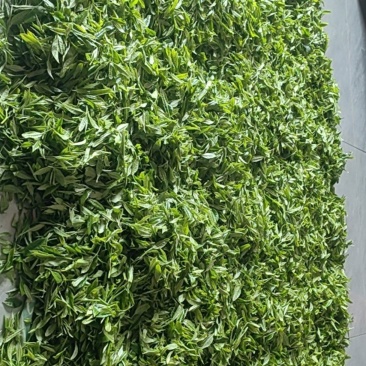 小本生意自家手工炒春茶欢迎大家来来采购