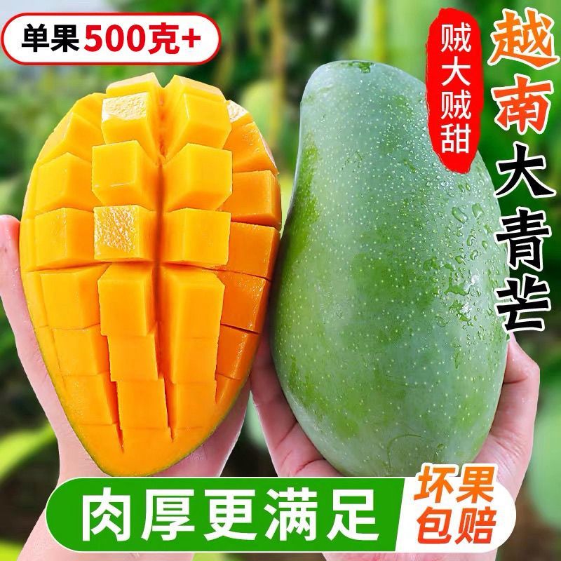 玉芒大青芒现货供应对接电商一件代发质量保证