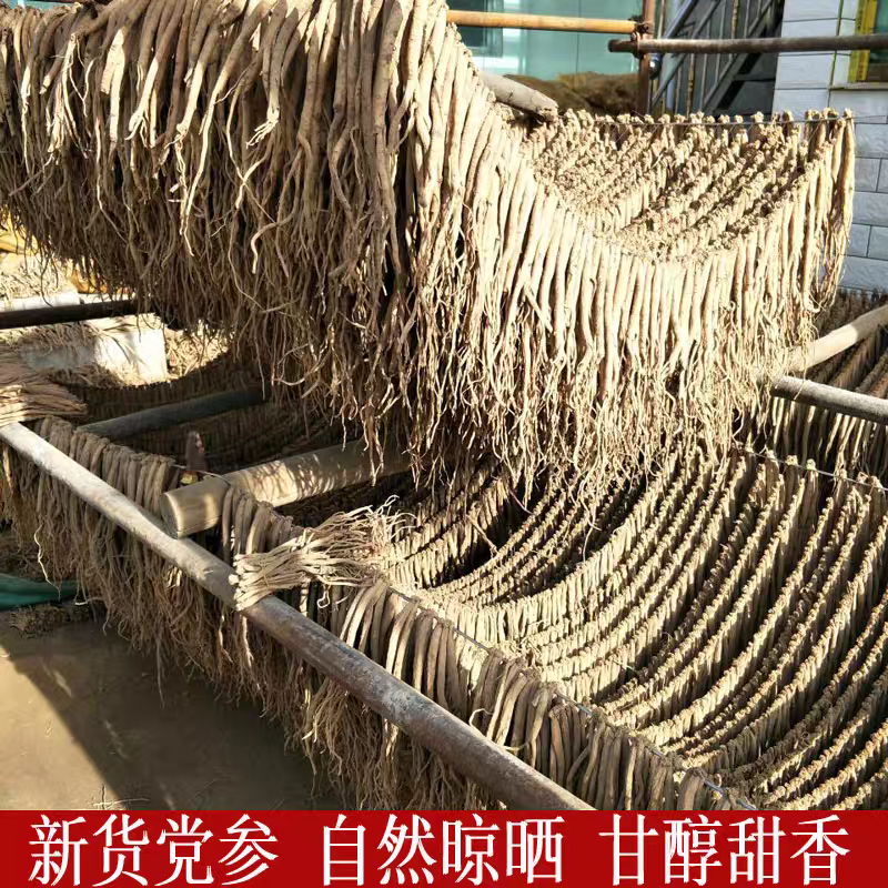 甘肃党参规格齐全货源充足产地直发可视频看货欢迎来电