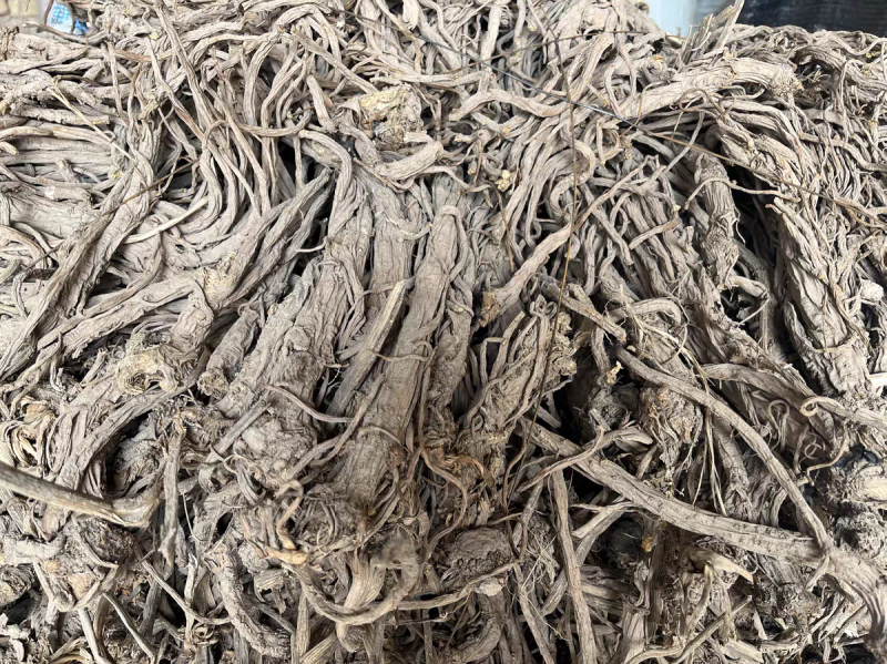 甘肃独活产地直发货源充足可视频看货欢迎致电