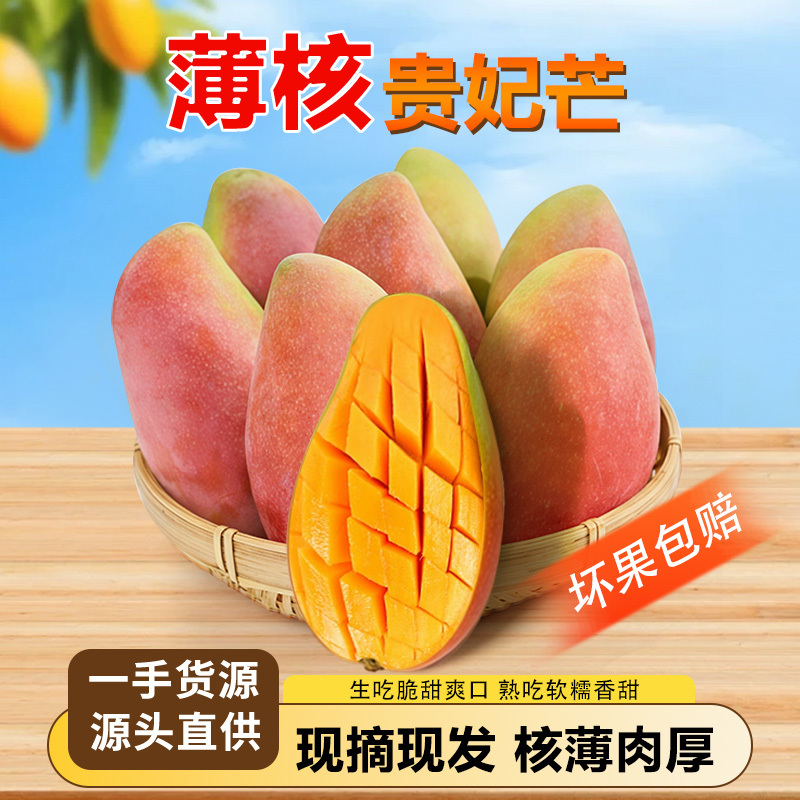 【广西贵妃芒】正宗百色芒果当季新鲜水果现摘现发鲜甜产地直发