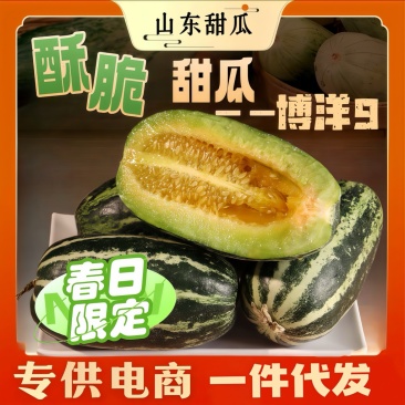 博洋9号甜瓜产地货源脆甜多汁电商代发整车批发