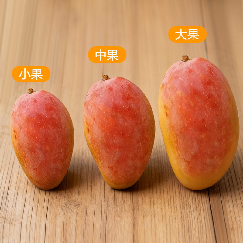 【广西贵妃芒】正宗百色芒果当季新鲜水果现摘现发鲜甜产地直发