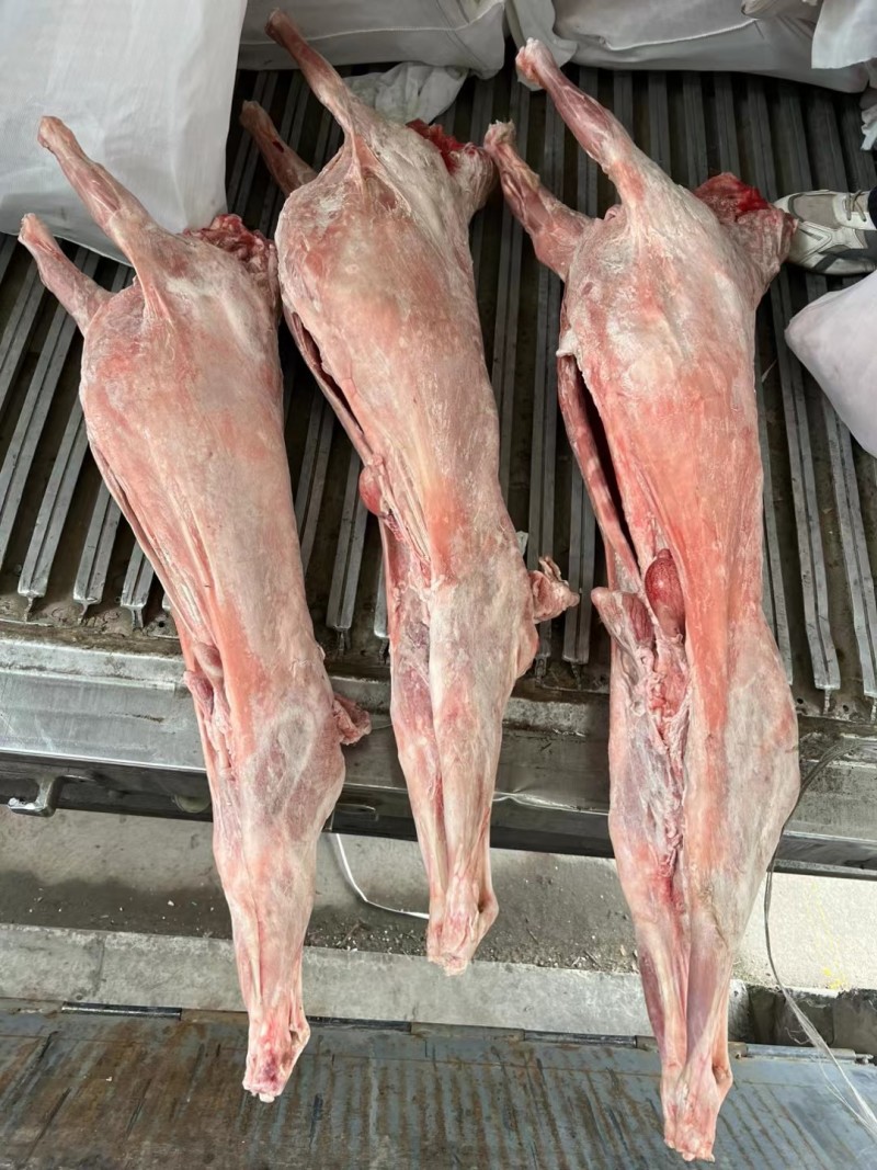 直条烤全羊10到25斤整羊烧烤手抓羊肉清炖羊肉