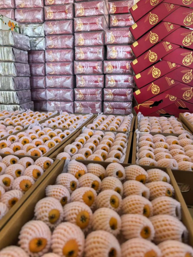 米易枇杷