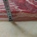 一级去皮五花肉50斤一箱，量大可优惠，全国各地都可以发货