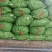 精品蚕豆，品质保证，价格优惠，产地直发，诚信经营