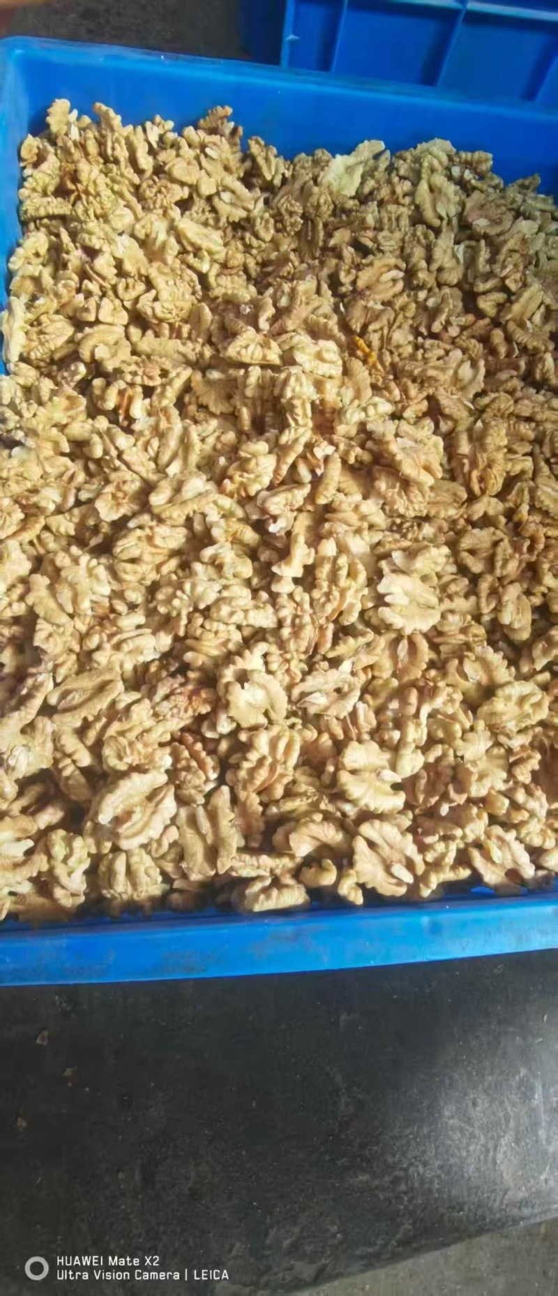 新疆纸皮核桃仁精品尖白纯头路
