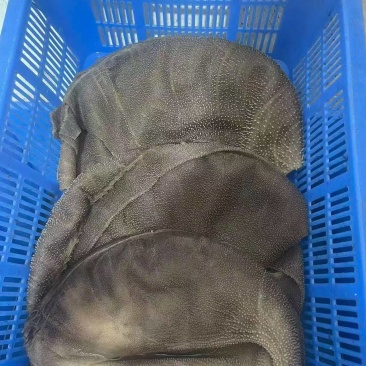 大叶片毛肚