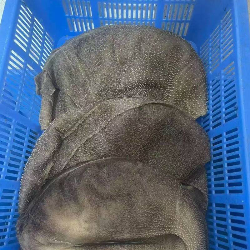 大叶片毛肚