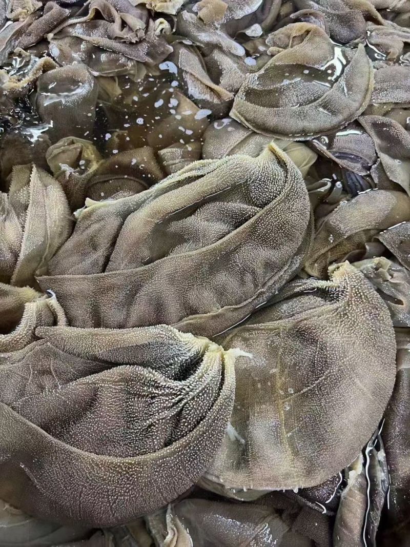 大叶片毛肚