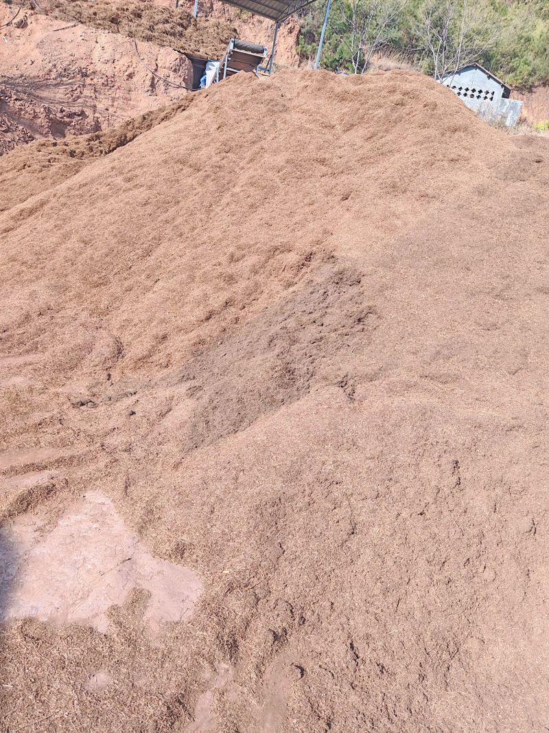 纯松针腐殖土