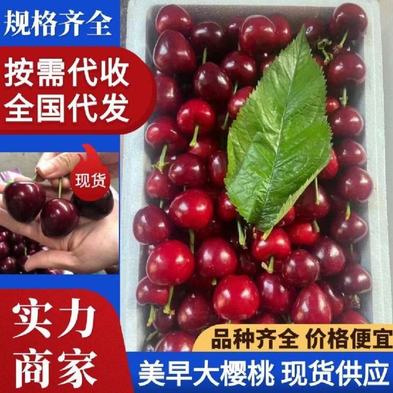 【实力商家】产地直发【保质保量】货源充足【香甜可口】樱桃