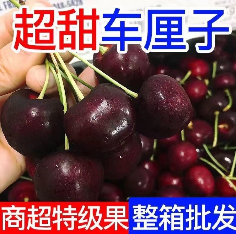 【实力商家】产地直发【保质保量】货源充足【香甜可口】樱桃