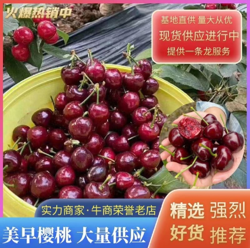 【实力商家】产地直发【保质保量】货源充足【香甜可口】樱桃