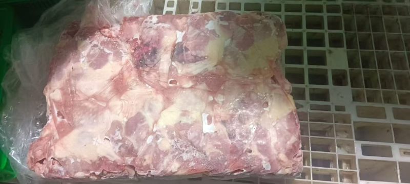 二级种鸡排腿