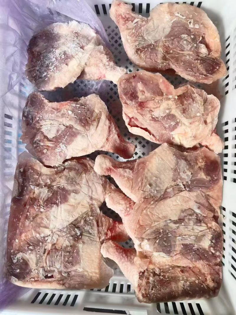 二级种鸡排腿