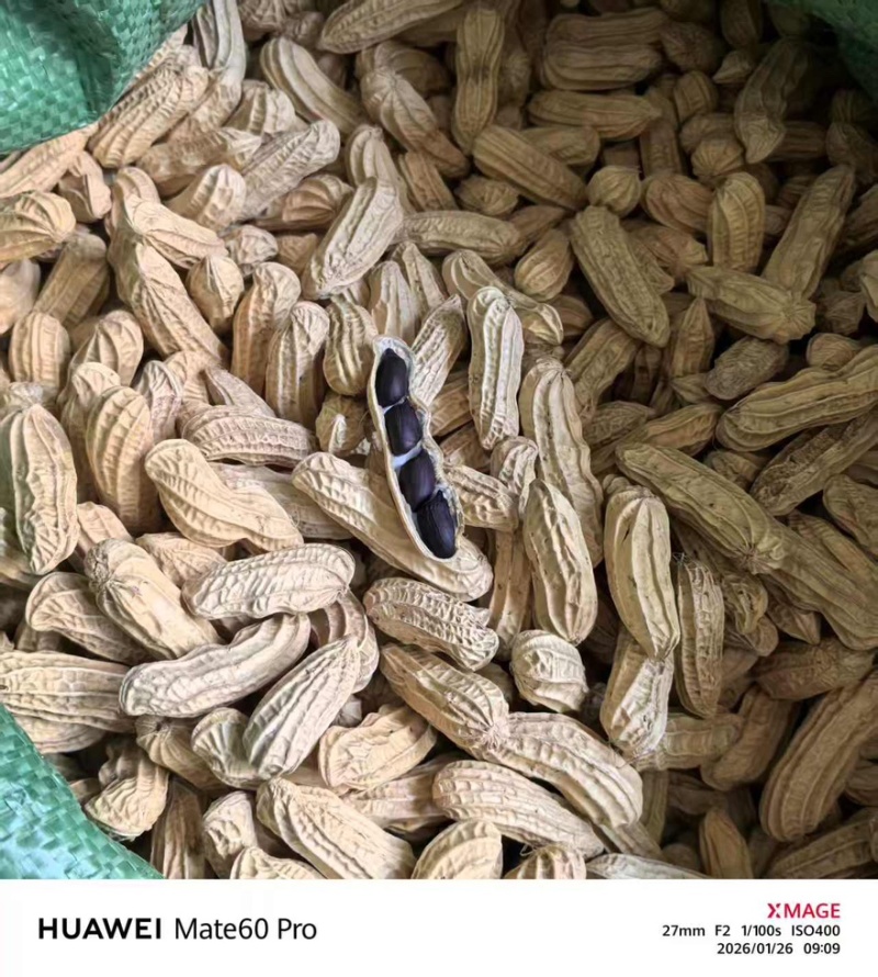 泰国进口黑花生七彩花生一手货源全国发货量大价优欢迎随时