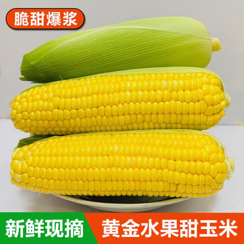 （水果玉米）海南太阳花玉米/甜玉米/产地货源/保质保量