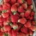 【草莓🍓】宁玉草莓有量，对接全国客商，可发往全国市场！
