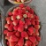 【草莓🍓】宁玉草莓有量，对接全国客商，可发往全国市场！
