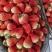 【草莓🍓】宁玉草莓有量，对接全国客商，可发往全国市场！