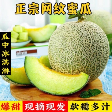 玫珑哈密瓜/海南哈密瓜/电商直供整车批发市场商超