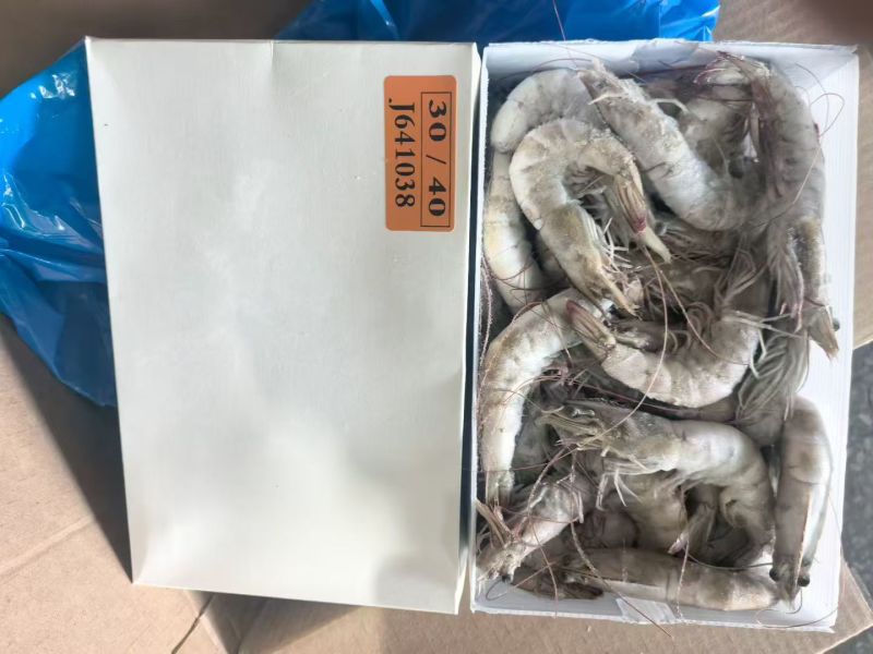 厄瓜多尔白对虾青岛大虾南美虾盐冻虾气冻虾大虾活虾对虾