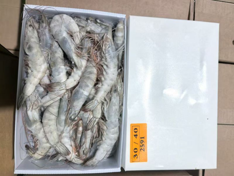 厄瓜多尔白对虾青岛大虾南美虾盐冻虾气冻虾大虾活虾对虾