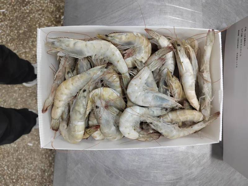 厄瓜多尔白对虾青岛大虾南美虾盐冻虾气冻虾大虾活虾对虾