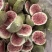 无花果干实物拍摄无糖无硫黄放心食用冻干无花果