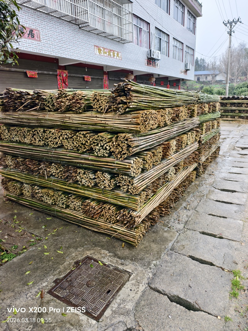 菜架竹，竹子，大别山区直发，可定制规格，可选择品种！
