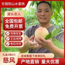 【1件起售】5两8只慈风无锡阳山水蜜桃现摘新鲜甜白凤湖景