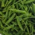 豌豆新鲜云南当带壳青豌豆荚蔬菜新鲜青豆荚脆甜生荷兰豆现摘