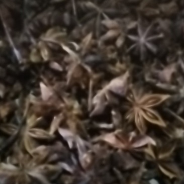 广西百色春花八角产地货源充足量大价优欢迎随时联系