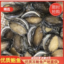 泓振鲍源鲍鱼冻鲍鱼鲜冻鲍鱼源头批发3-22头全规格