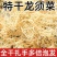 龙须菜干货龙须菜海石花拌凉菜卤菜脆爽可口包邮