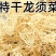 龙须菜干货龙须菜海石花拌凉菜卤菜脆爽可口包邮