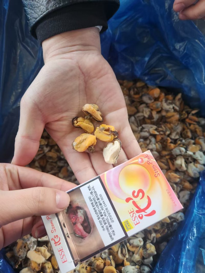 新货，海虹肉，海红肉，需要的联系