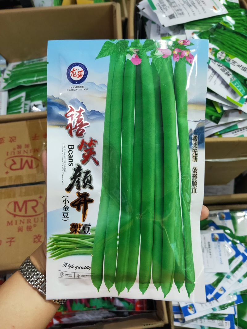 禧笑颜开小金豆种子蔓生中早熟荚圆型略扁四季豆种子春秋种植