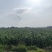 精品玉米刚上市200吨左右
