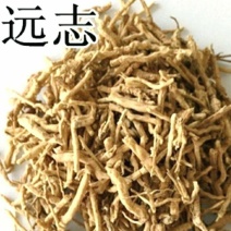 远志中药材带芯远志当季节新货手工挑选保质保量包邮