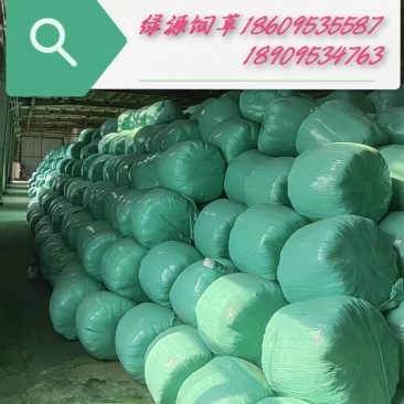 精品黄储饲料牛羊饲料，厂家供应大量货源，保质保量可实地看
