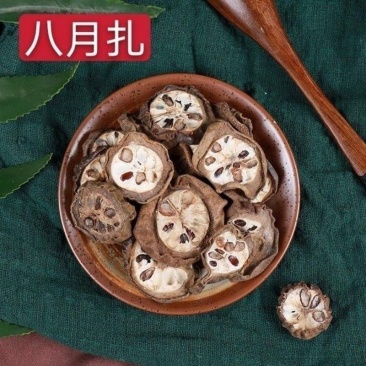 八月札八月瓜八月扎预知子正宗湖北产地中药材批发零售