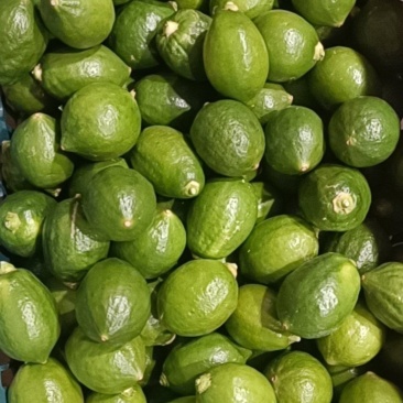 小青果70g以下，40g以上，含打膜